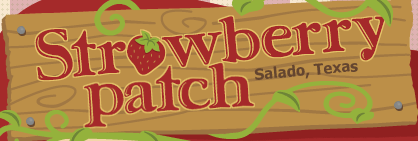 Strawberry Patch Gourmet Food